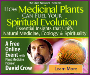 David Crow - Plant Medicine Pioneer